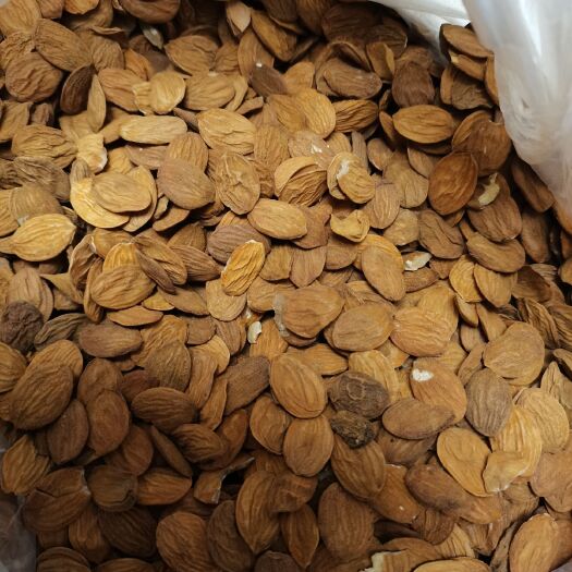 亳州家桃仁扁桃仁统货新货价格便宜