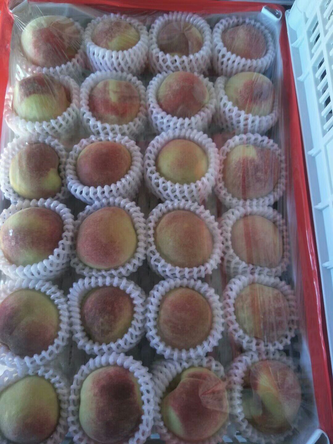 云南大理宾川冬桃 胭脂冬桃产地代办供应