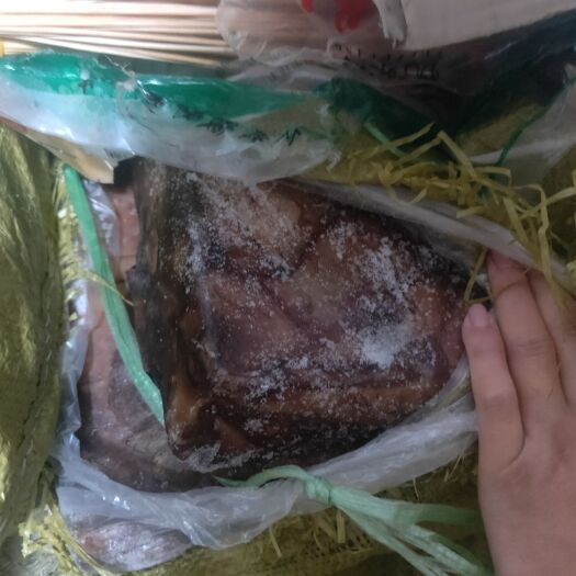 深圳 秘鲁鱿鱼尾4块一斤处理掉