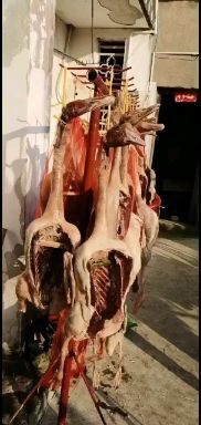 南京鹅肉类  农家散养大白鹅 自家作坊腌制 证件齐全
