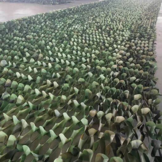 德州遮阳网