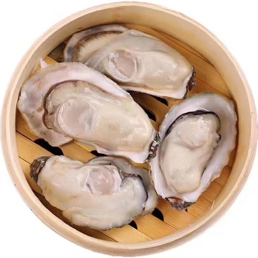 海阳市威海牡蛎 海水 1-2两/只 鲜活水产 