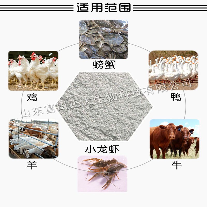 畜禽专用饲料 高钙贝壳粉鸡鸭鹅鸽子鹌鹑鸟类猪羊补钙用天然吸收好