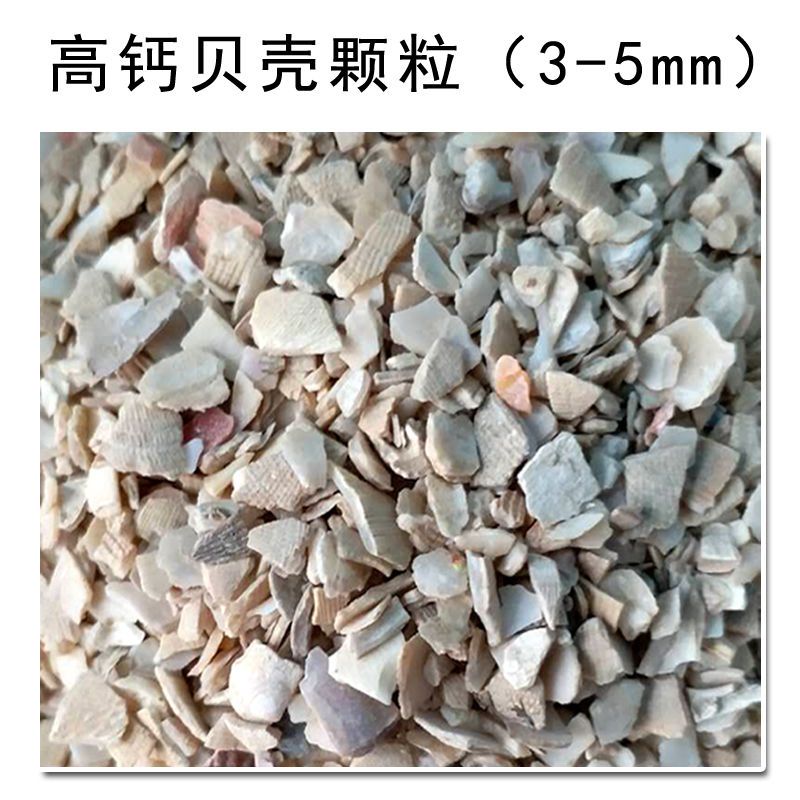 畜禽专用饲料 高钙贝壳粉鸡鸭鹅鸽子鹌鹑鸟类猪羊补钙用天然吸收好