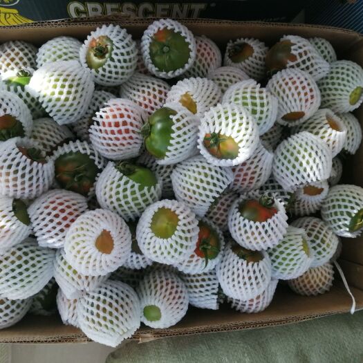 盘锦碱地柿子 绿顶柿子 盘锦碱地番茄 铁柿子