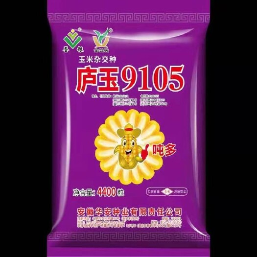 玉米種子  廬玉9105玉米雜交種