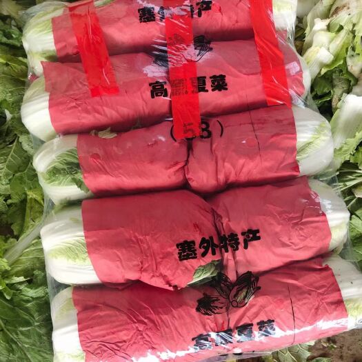 夏邑县青杂三号白菜 提供各种包装