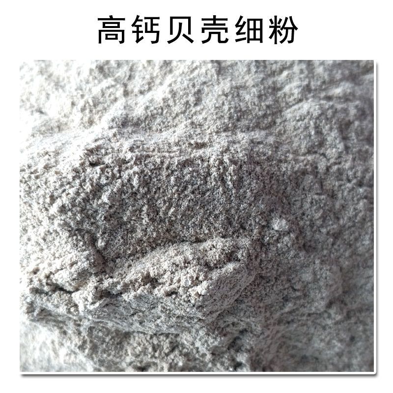畜禽专用饲料 高钙贝壳粉鸡鸭鹅鸽子鹌鹑鸟类猪羊补钙用天然吸收好