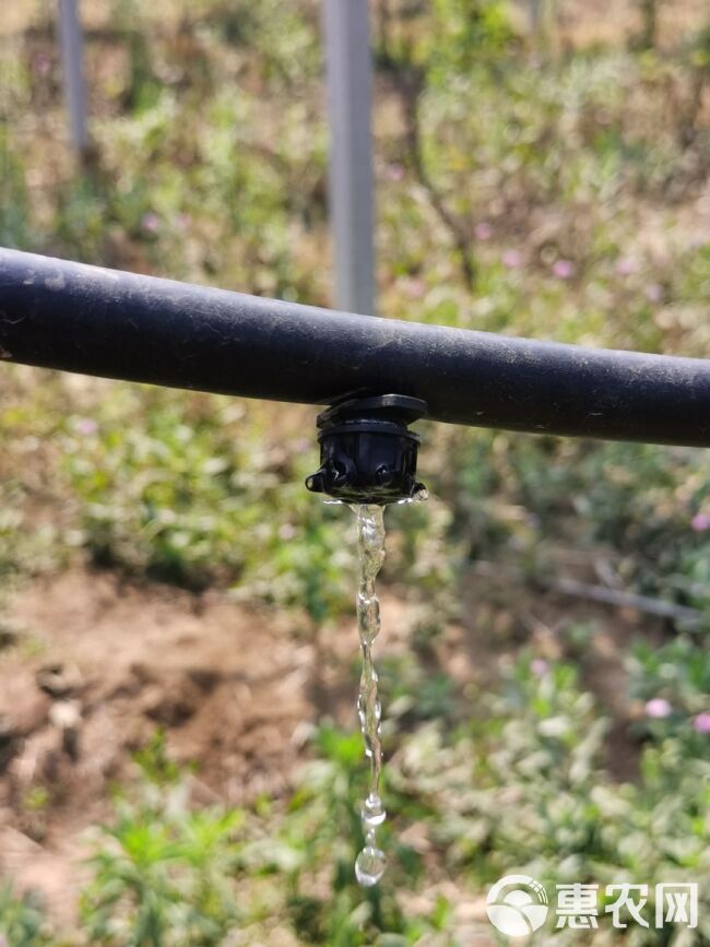 PE管 水管 管材管件 农用滴灌喷灌专用 pe管 pe灌溉管