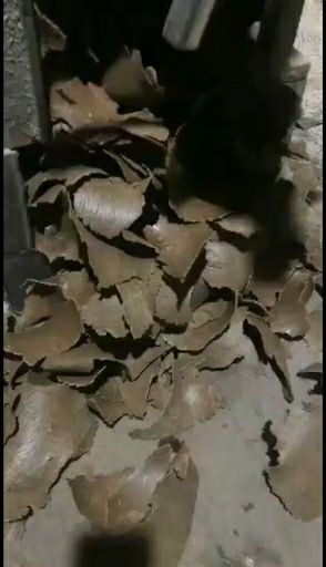 朔州豆粕饲料 