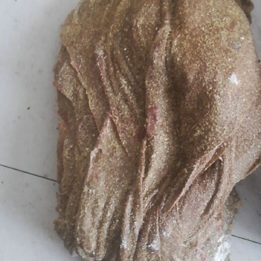 商都县鲜牛毛肚 