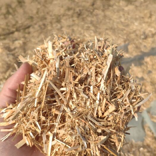 阜阳 小麦秸秆