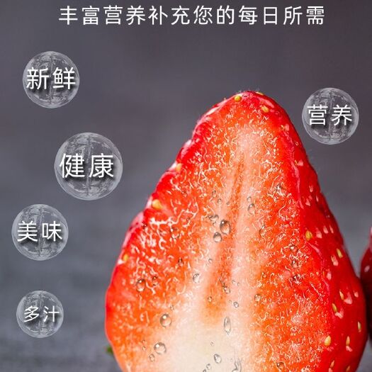 东港市圣诞红草莓 丹东久久草莓，自家草莓大棚园区