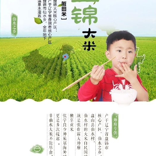 盘锦 东北盘锦大米文士金大地厂家直批一件代发珍珠米蟹田新米袋装