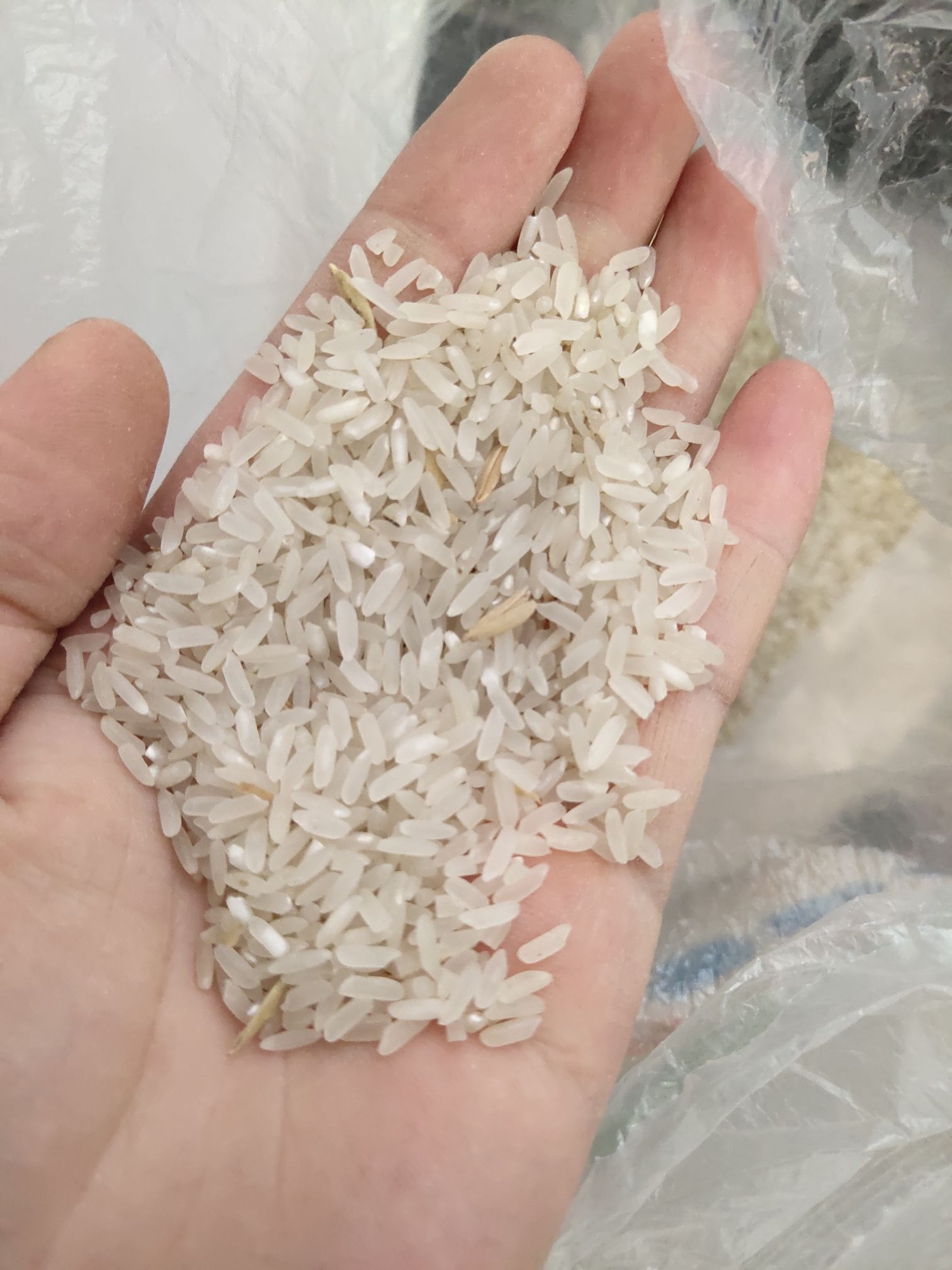 贡米 不抛光，农村自己家的米