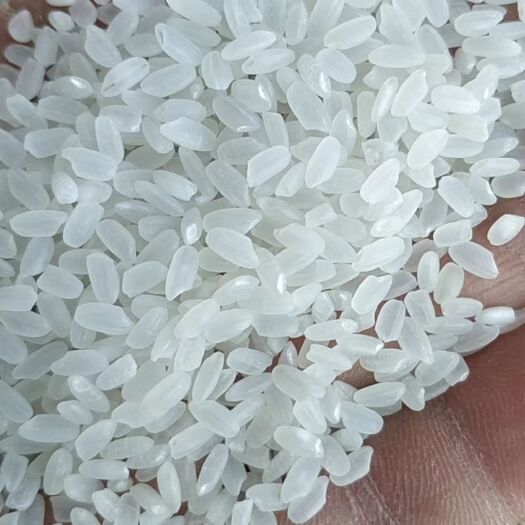鸡东县东北大米 一等品 一季稻 粳米 