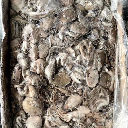 福州 八爪鱼章鱼批发不泡水全干船冻章鱼一手货源