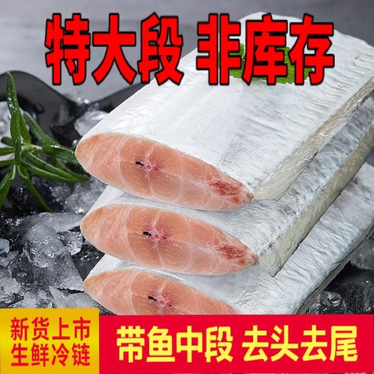 日照带鱼新货2500g新鲜东海冷冻带鱼段中段海鲜水产