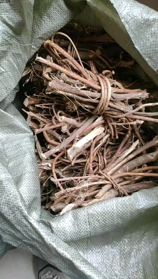 【精品货88斤起包邮两广地区】纯无硫，五指毛桃，长扎把