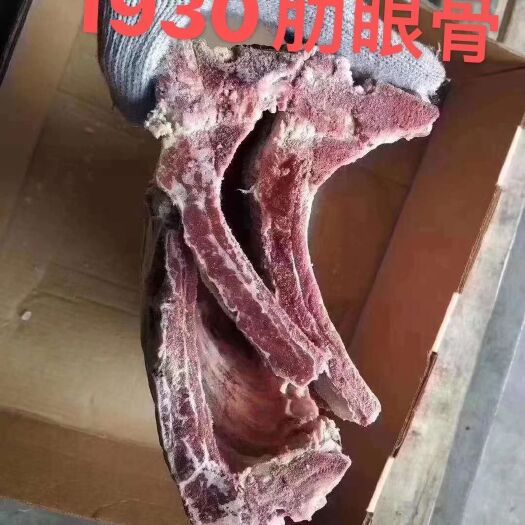 南京牛脊骨 1930牛肋眼骨