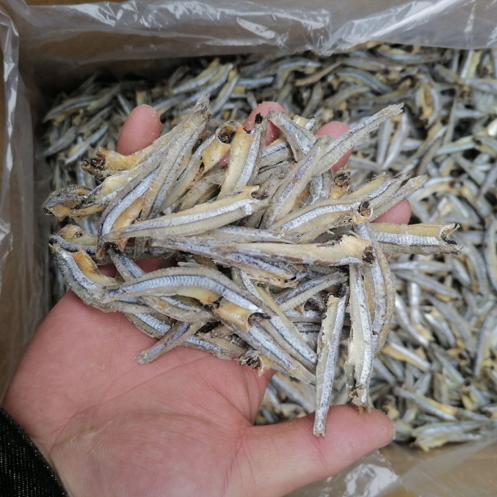 公鱼干  海燕鱼公干鱼毛毛鱼批发（按件购买，一件26斤）