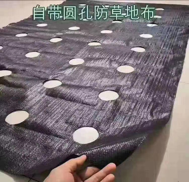  防老化防草布，打孔防草布