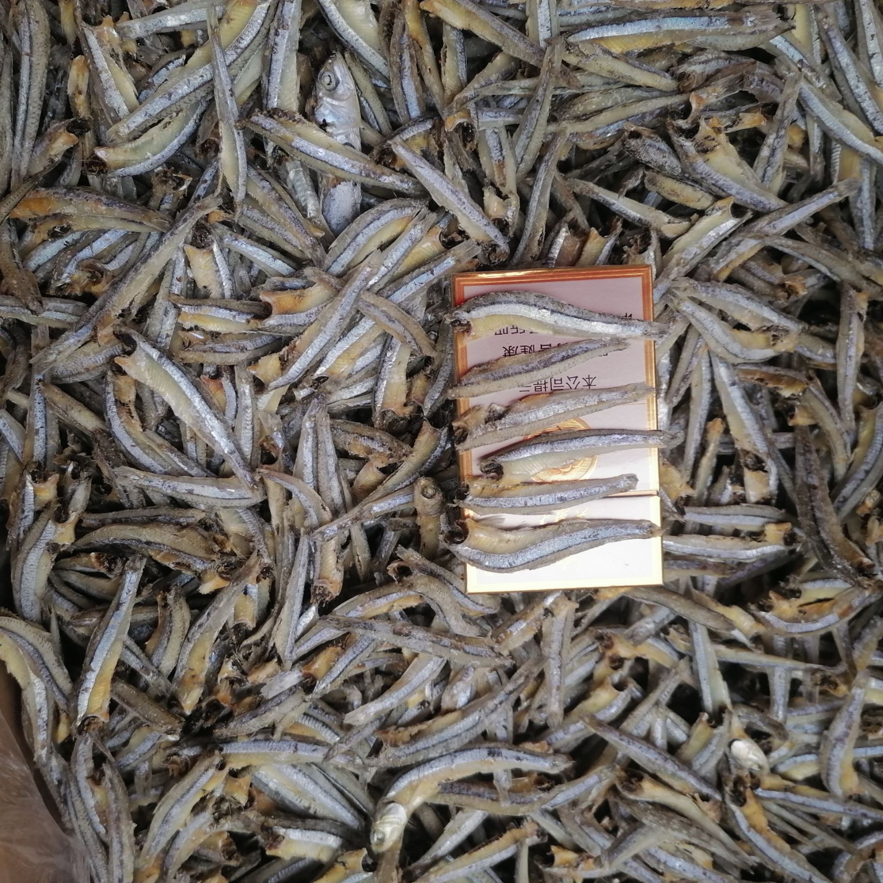 公鱼干  海燕鱼公干鱼毛毛鱼批发（按件购买，一件26斤）