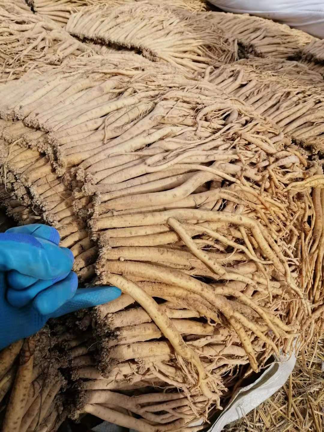 东党参  中药材，**** 生津养血 ，可炖汤，可干吃，可泡茶
