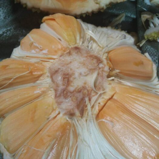 龙州县红肉菠萝蜜 一级果 干包 红色 