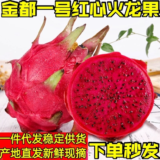 金都一号火龙果  包邮红心火龙果京都一号现摘新鲜发货净重5斤