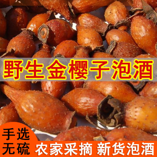 靖州县新鲜金樱子