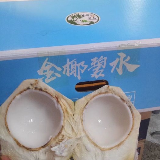 文昌市椰子 海南省文昌市文昌市 椰青