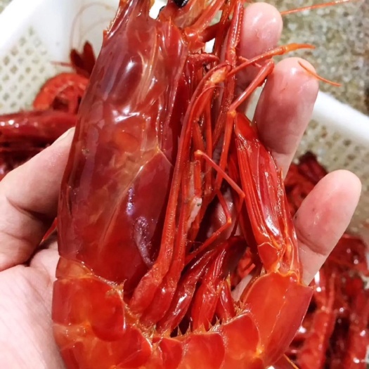 北海深海红魔虾，刺身级美食，液氮冷冻质量保证