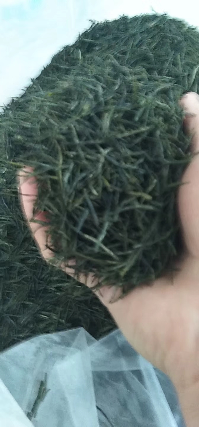 湖北绿茶边远地区恩施山区玉露茶叶山高谷深沟壑万千的农村硒茶