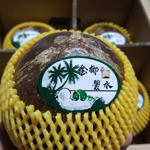 文昌市精品箱装椰皇
