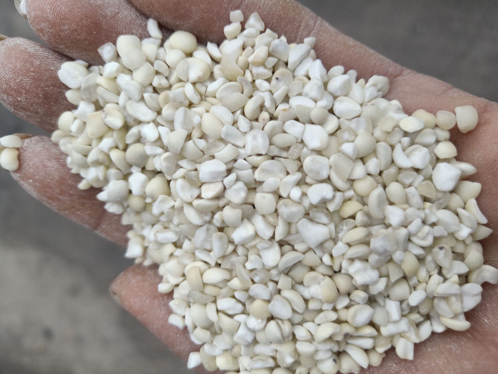 云南普洱薏米_新货_糯薏米_碎薏米