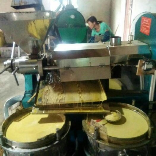金华 菜籽油压榨菜籽油
