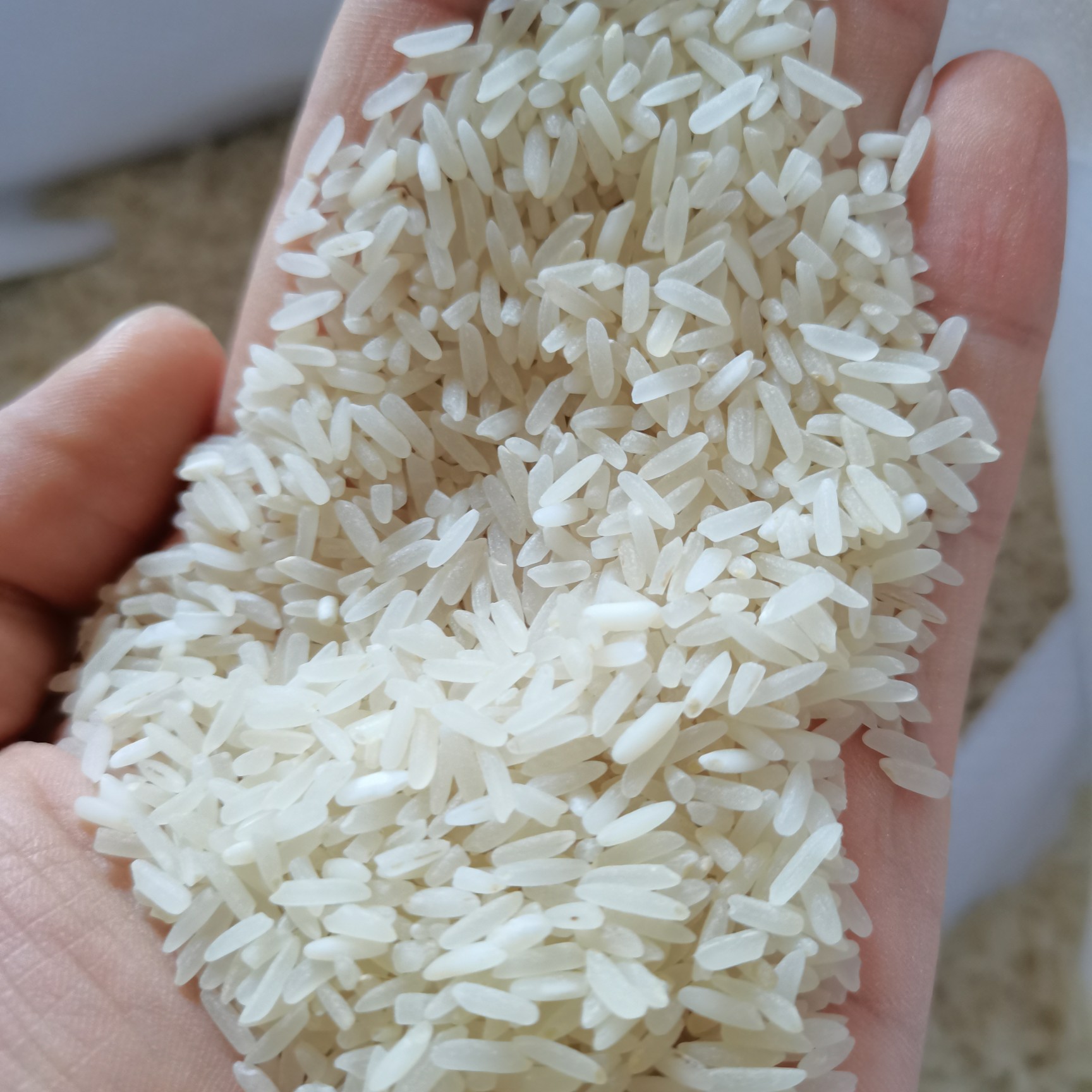 油粘米  软粘，无抛光，油性，口感可观