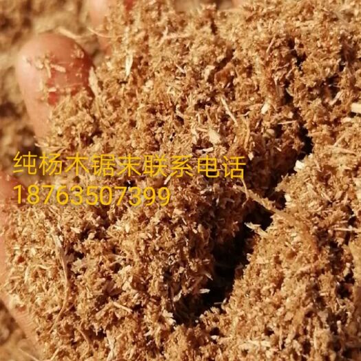 莘县锯木糠  纯杨木锯末，含有机质99.8%做有机肥最好的选择装车过筛子