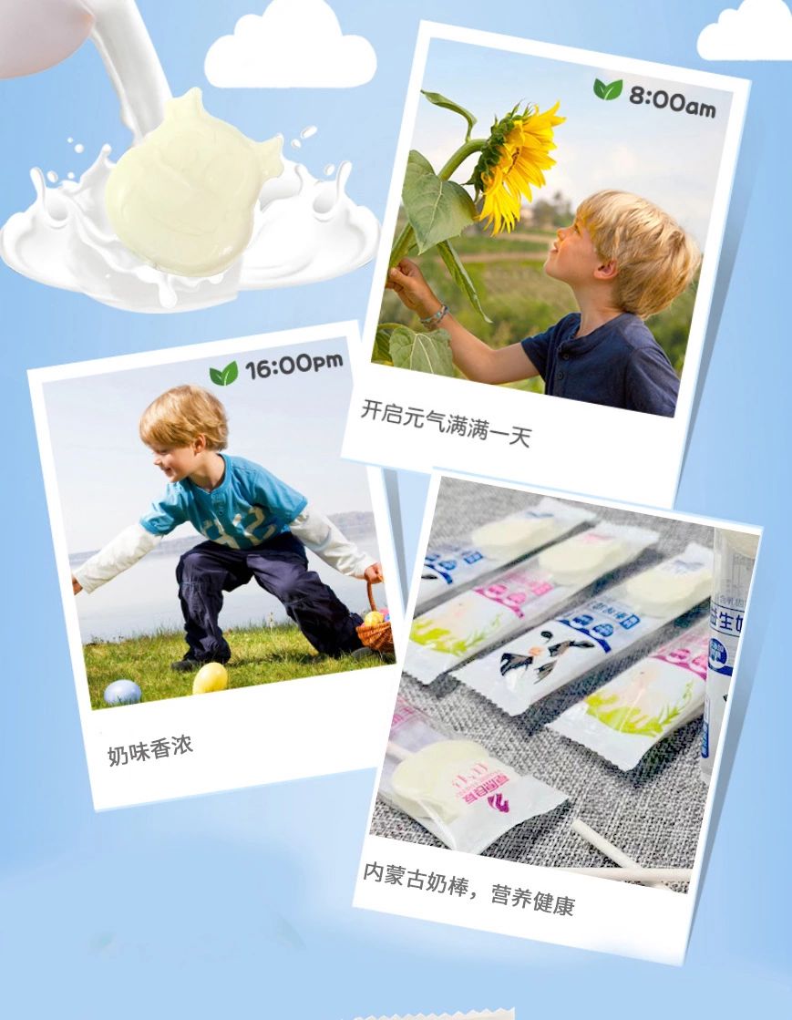 高钙益生奶酥棒 内蒙古奶酪片，棒棒糖无蔗糖奶贝