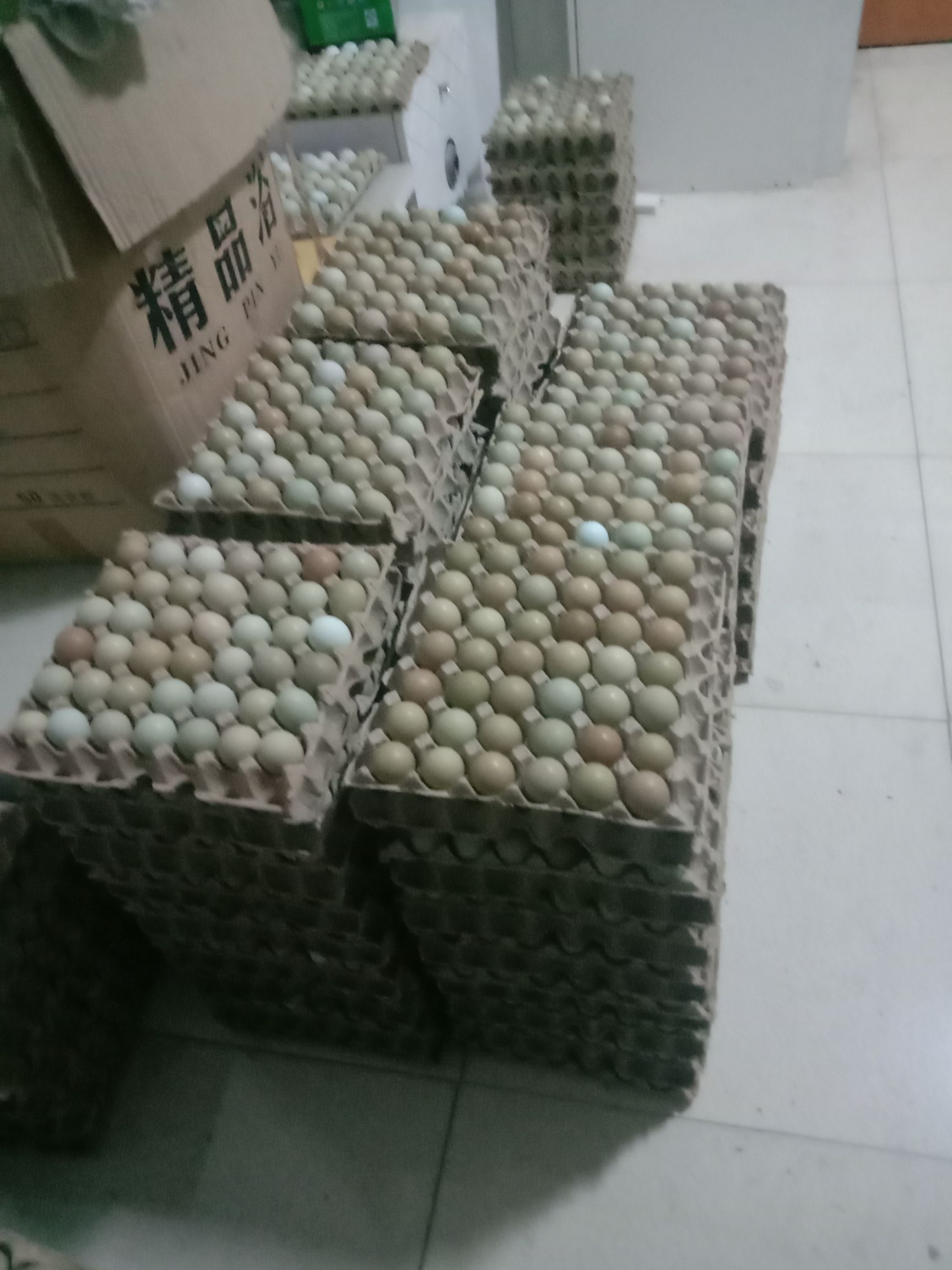 七彩山鸡蛋  优质新鲜山鸡蛋营养丰富建康美味每天现捡现卖保证质量破损保陪需