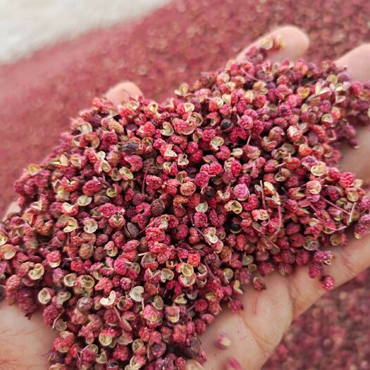 正宁县红花椒 甘肃花椒椒麻味香，质量保证，诚信第一！