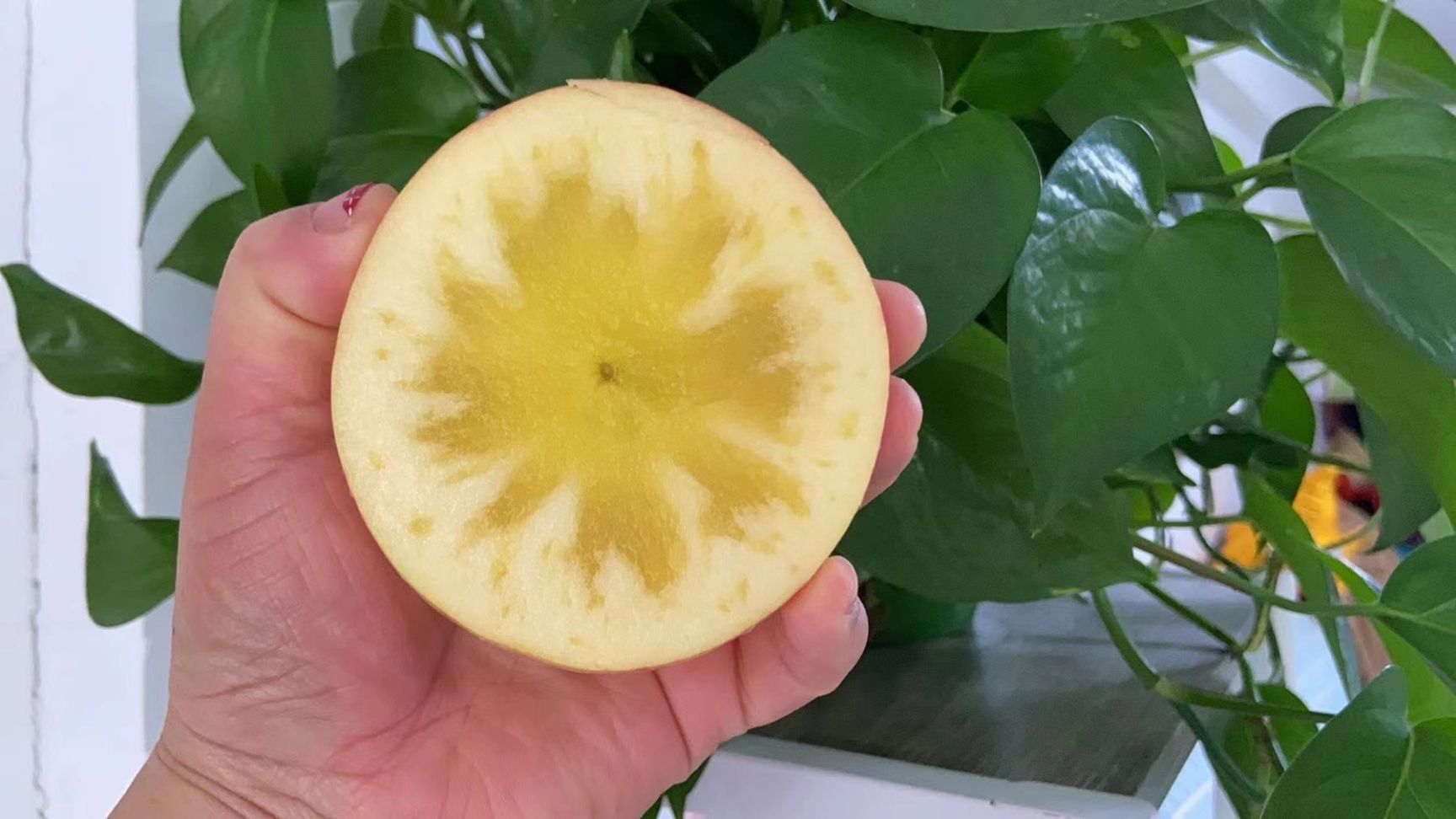  阿克苏冰糖心苹果