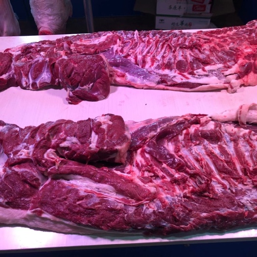 土右旗白条羊  内蒙鲜糕肉