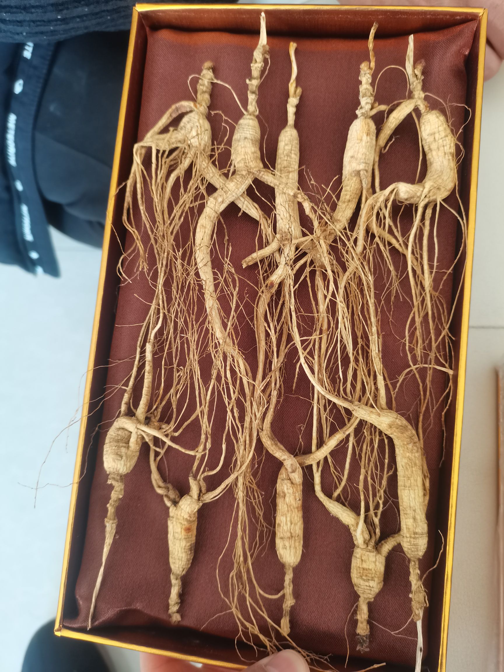 长白山林下参，籽货，产地直销，可泡酒，煲汤，泡水，无药物残留