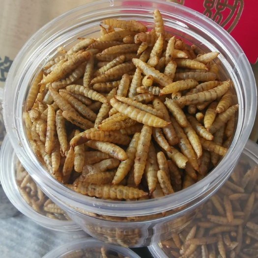 崇州市黑水虻虫干/黑水虻养殖/黑水虻虫粉/黑水虻虫油/脱脂黑水虻