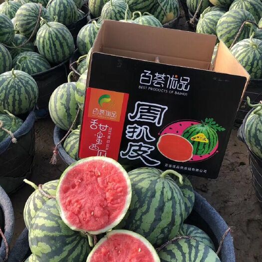 夏邑县8424西瓜  美都无籽瓜，云南西双版纳，大量上市中