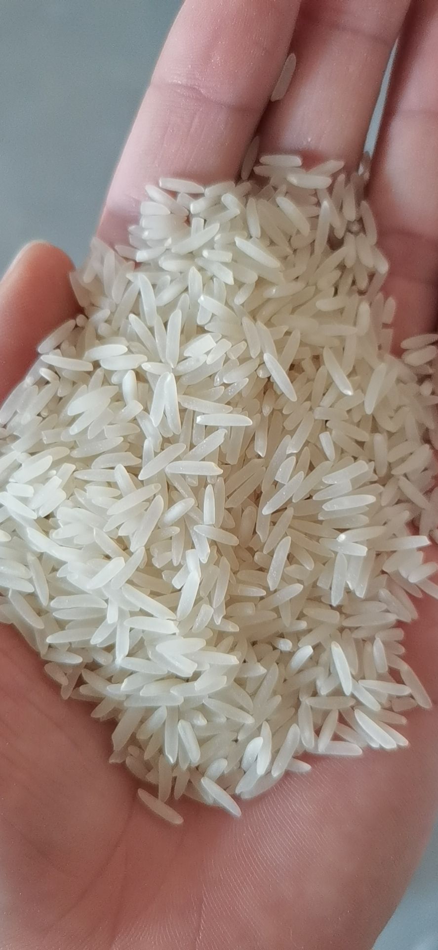 象牙香米  象牙粘，无抛光，农家米（1千斤起）