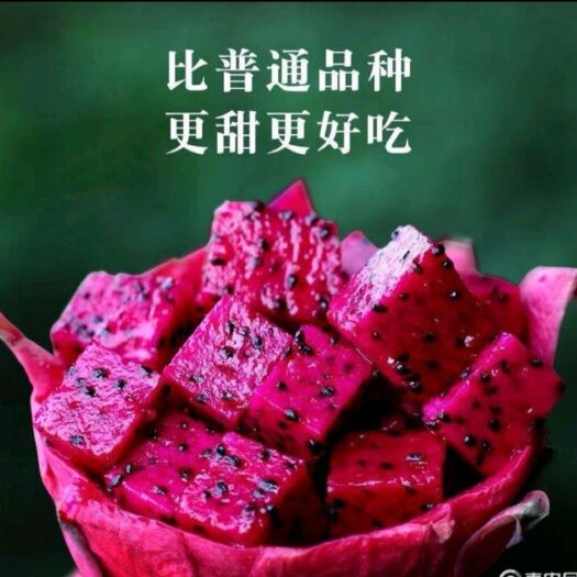 南宁金都一号火龙果，