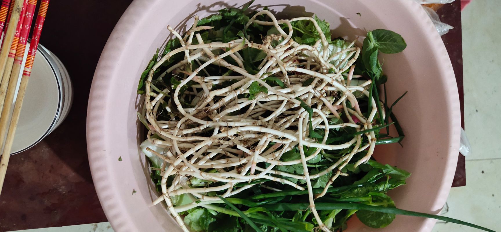 野生鱼腥草  农家新鲜蔬菜折耳根 嫩根鱼腥草 野生节节根